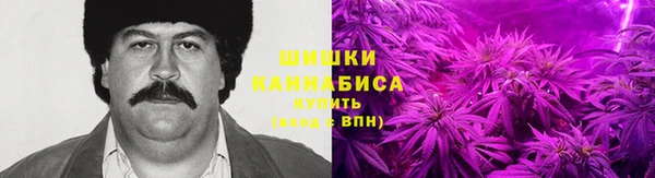 амф Вязьма