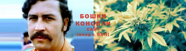 гидропоника Вяземский