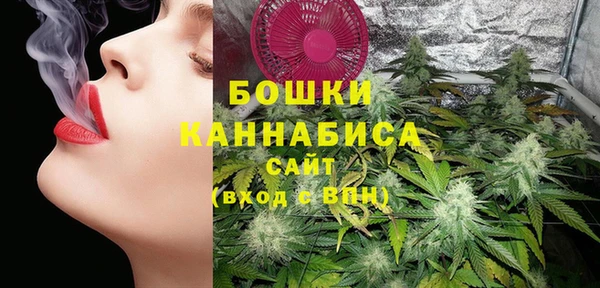 амф Вязьма