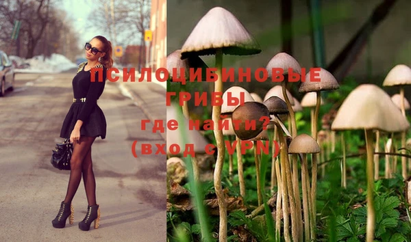 PSILOCYBIN Вязники