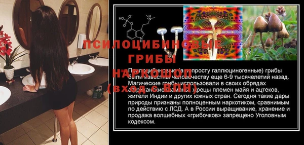 гидропоника Вяземский